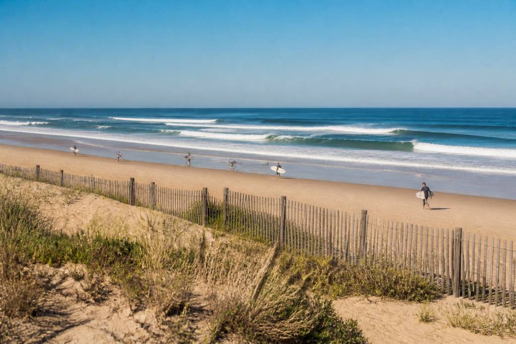 Où faire du surf en France : les meilleurs spots pour débuter et progresser