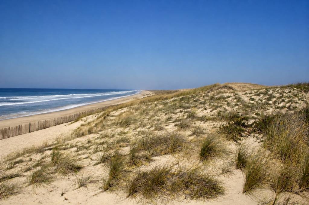 La dune de Lacanau, un espace à protéger pour préserver le littoral et la biodiversité